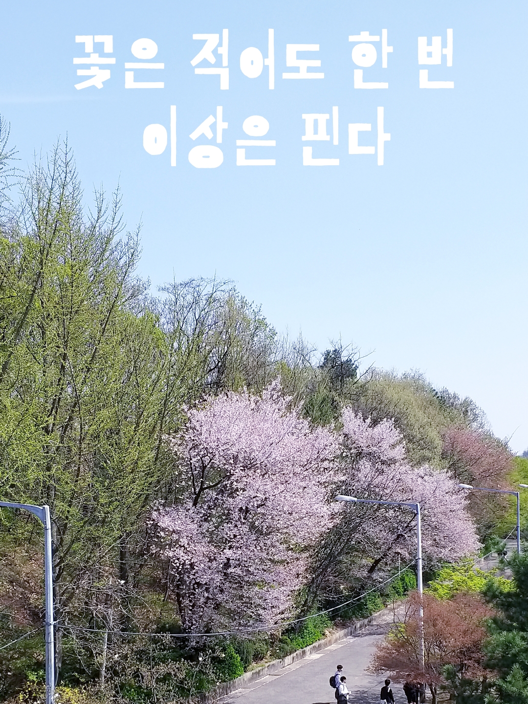 이호균-20190417_145659.jpg